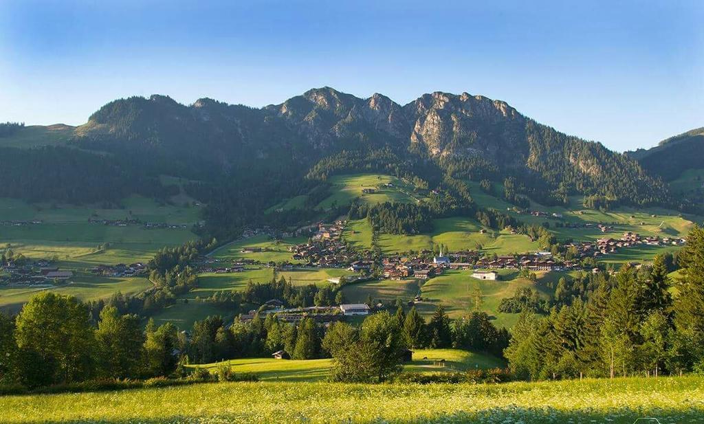 Alpbachblick