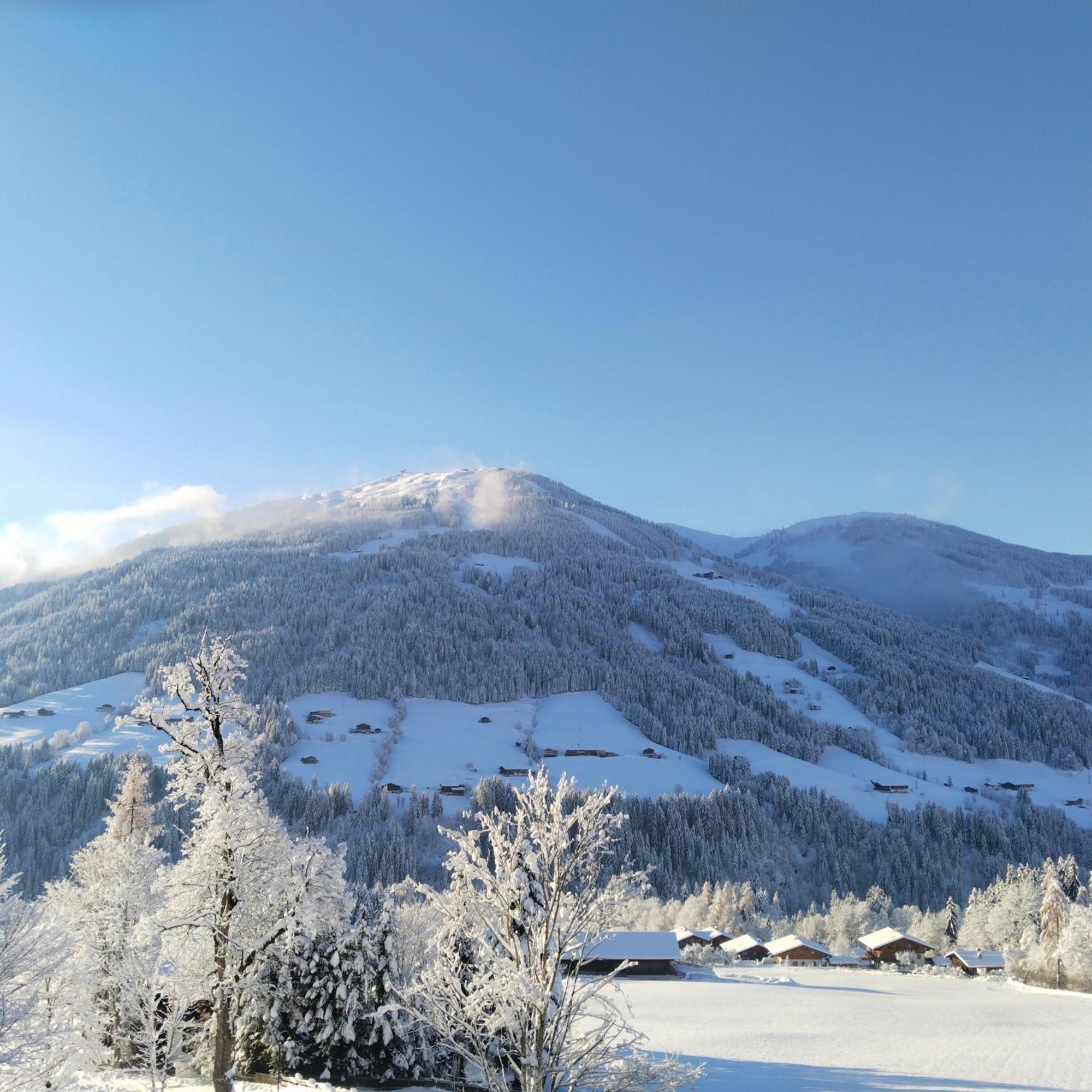 Alpbachblick Apartment Alpbach