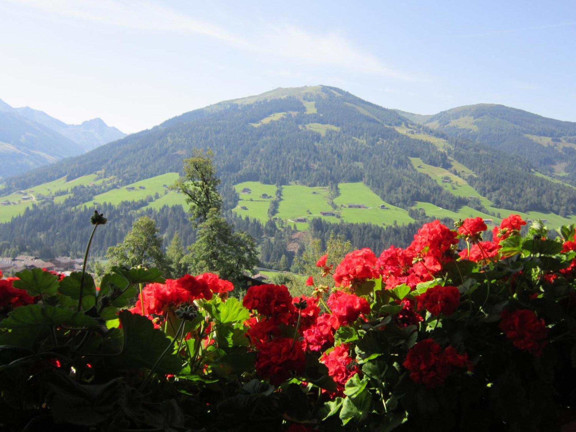 Alpbachblick Alpbach