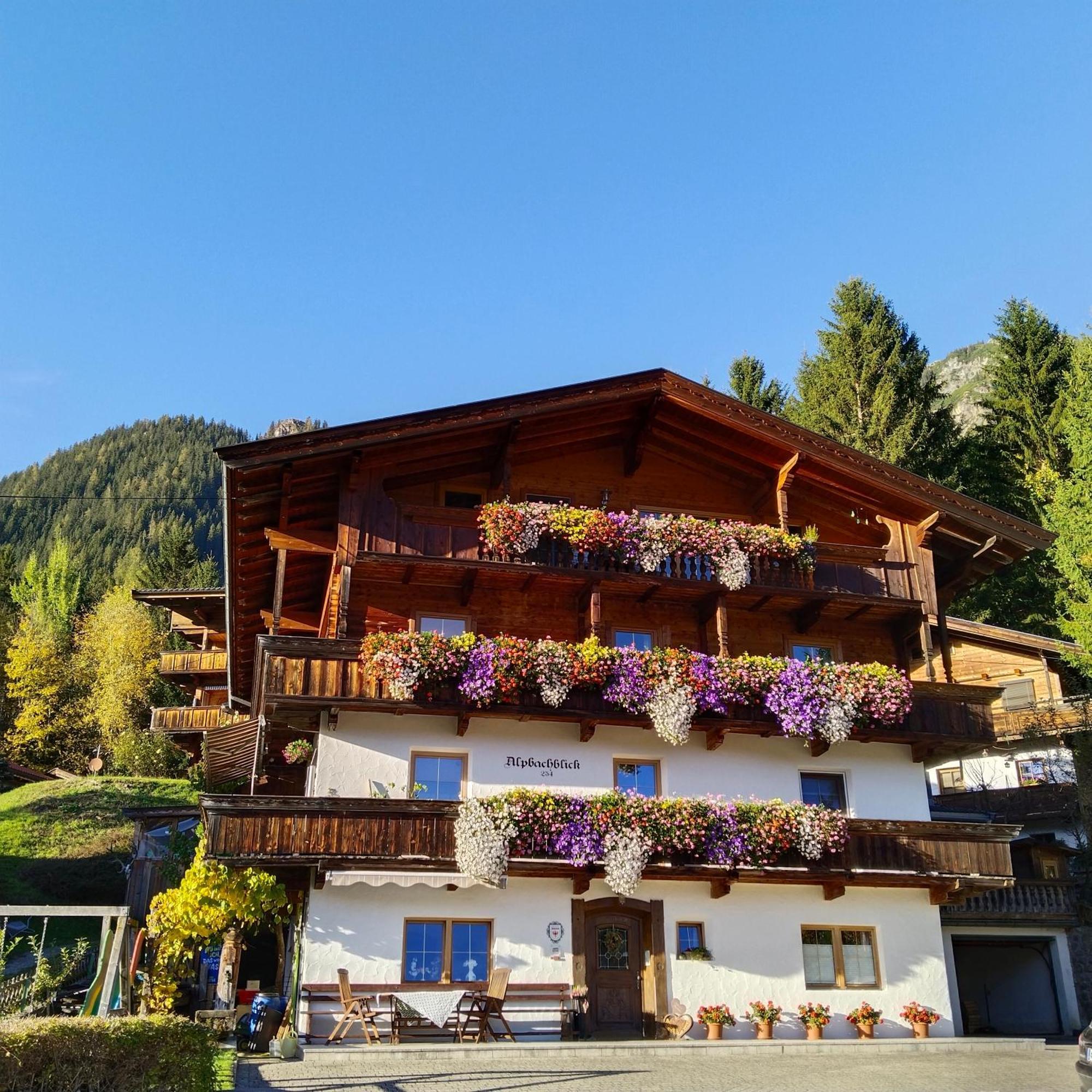 Apartment Alpbachblick *