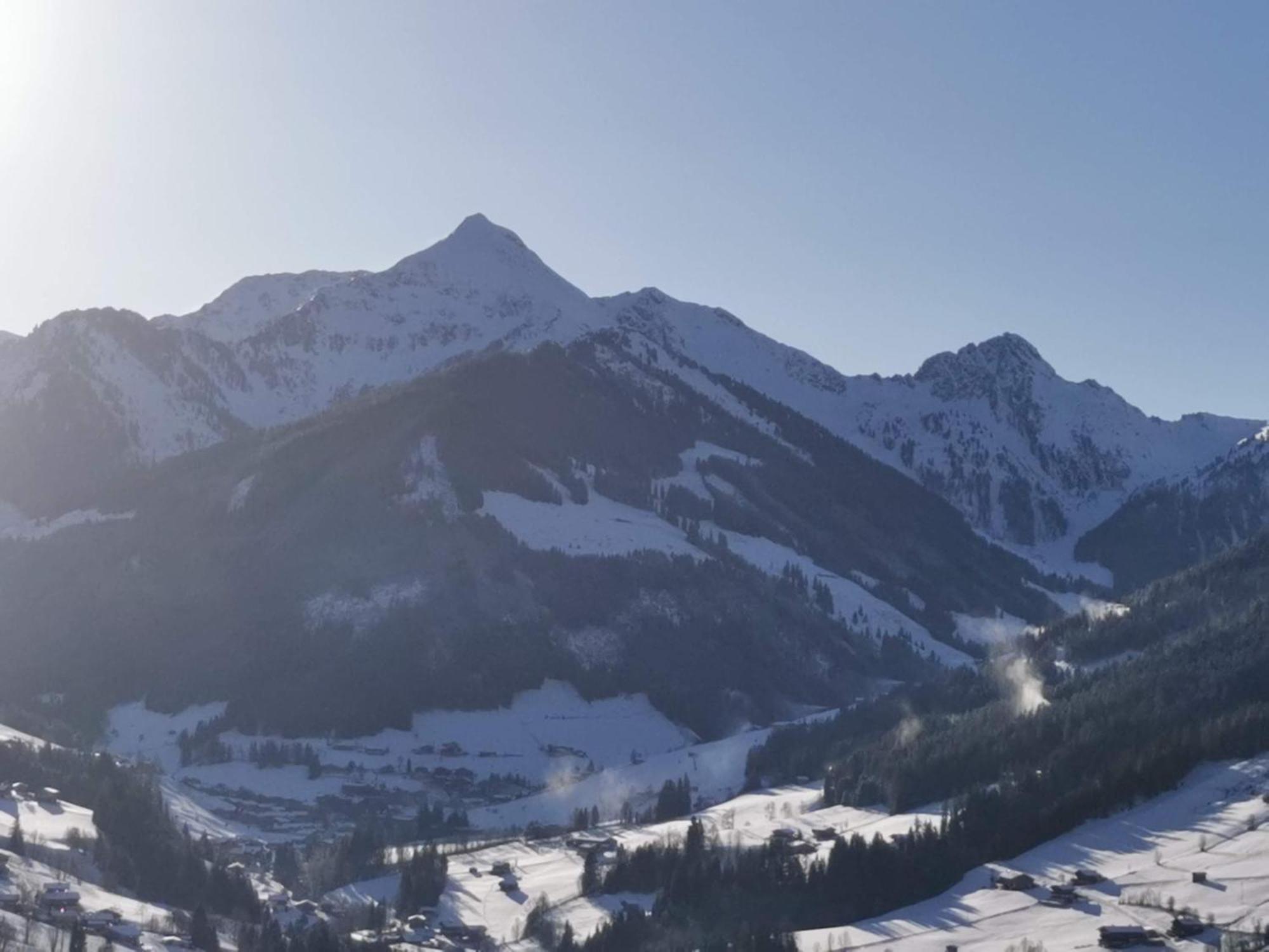 Alpbachblick *