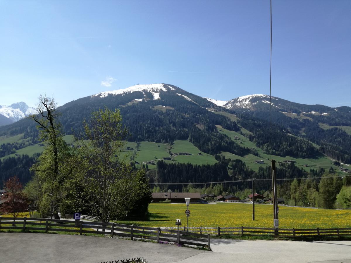 Alpbachblick * Alpbach