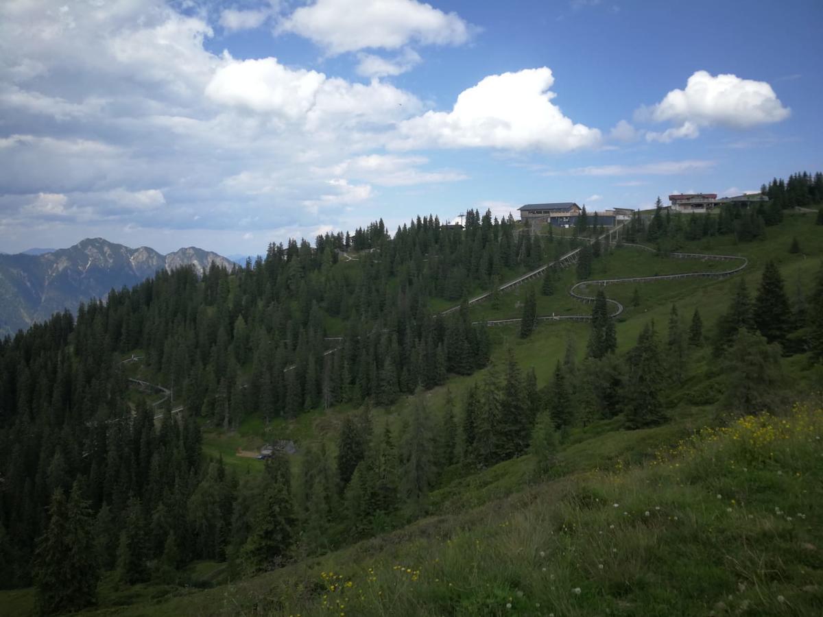 Alpbachblick * Alpbach